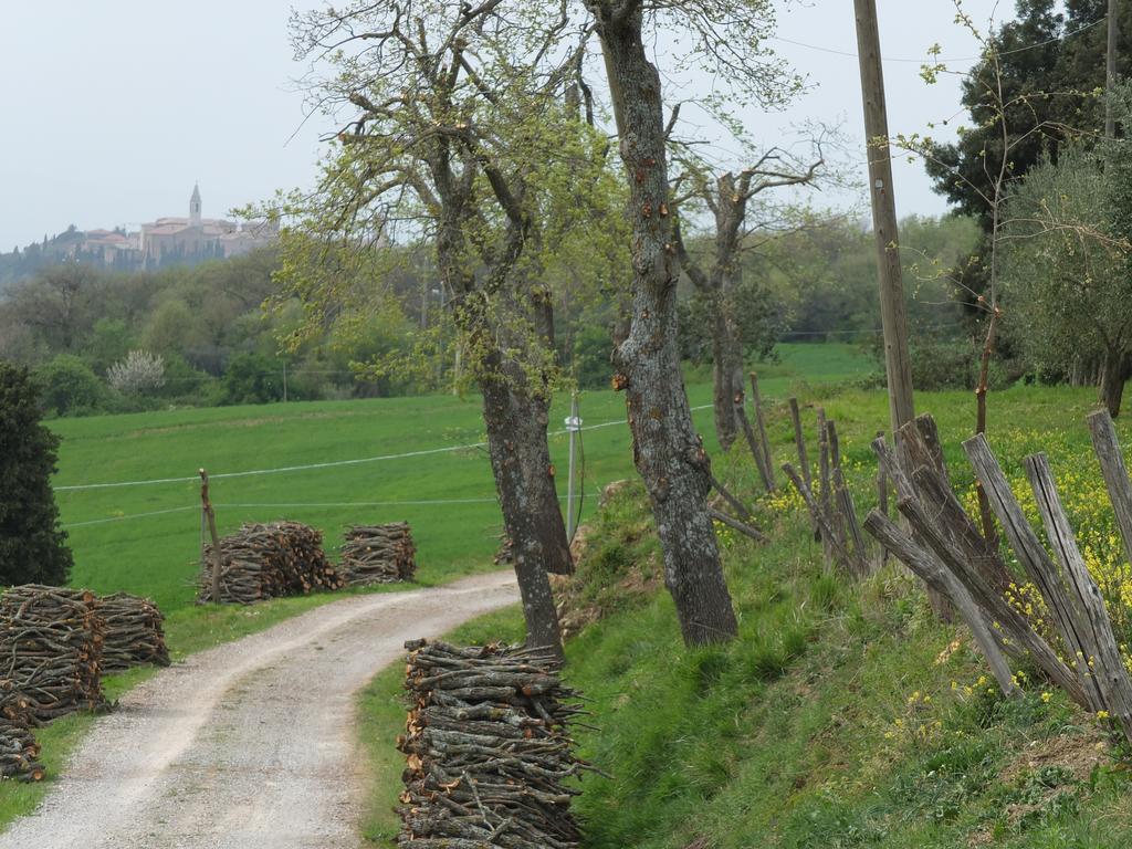 Agriturismo Riposati Monticchiello Εξωτερικό φωτογραφία