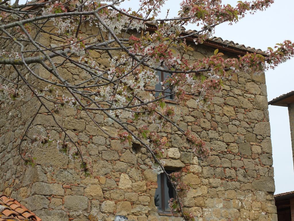 Agriturismo Riposati Monticchiello Εξωτερικό φωτογραφία
