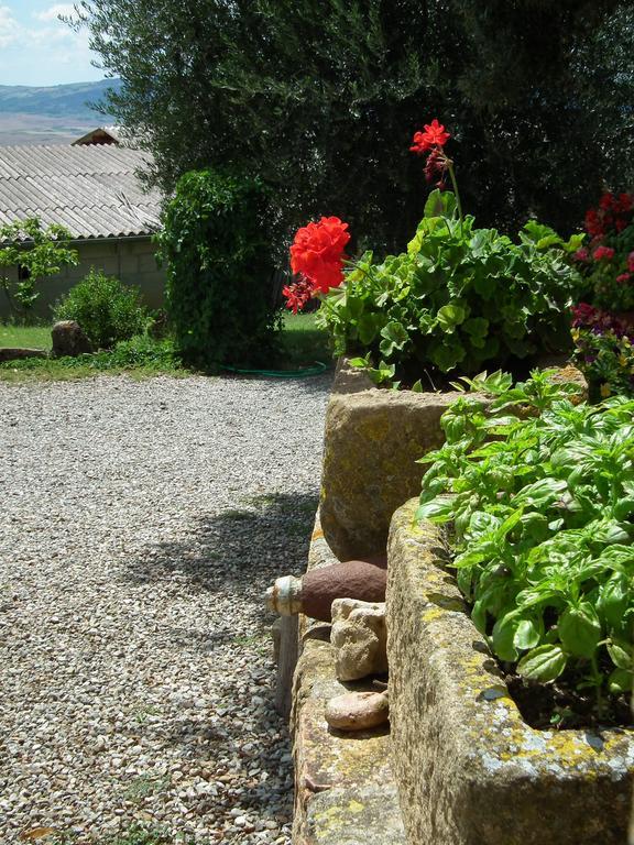 Agriturismo Riposati Monticchiello Δωμάτιο φωτογραφία