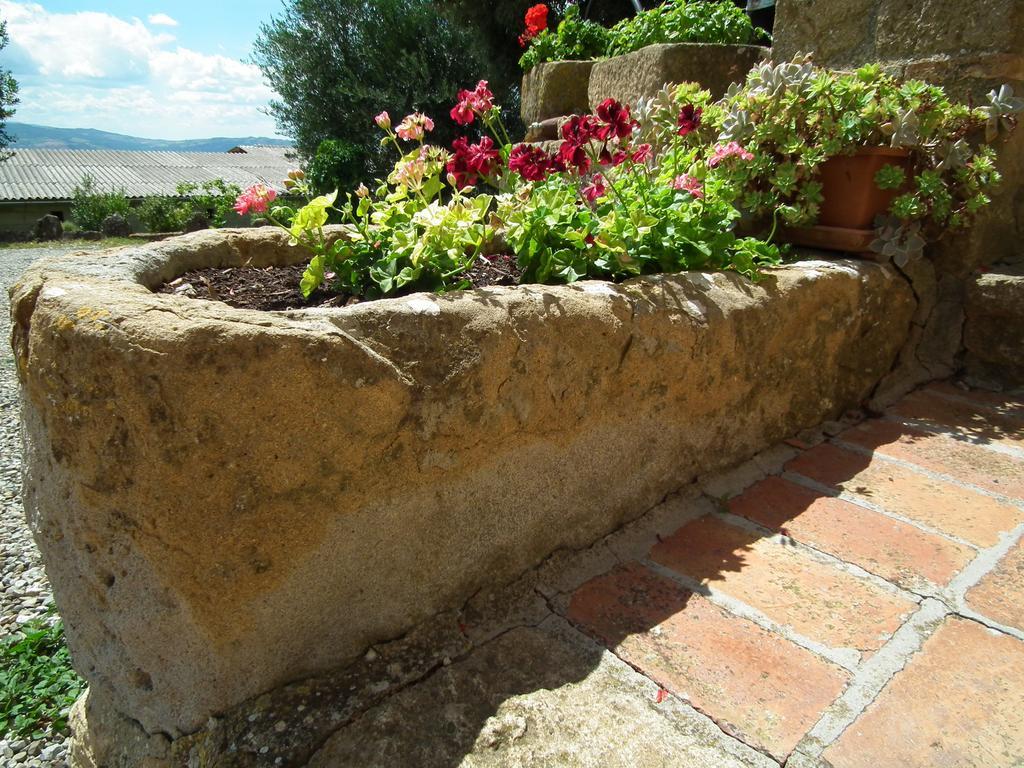Agriturismo Riposati Monticchiello Δωμάτιο φωτογραφία