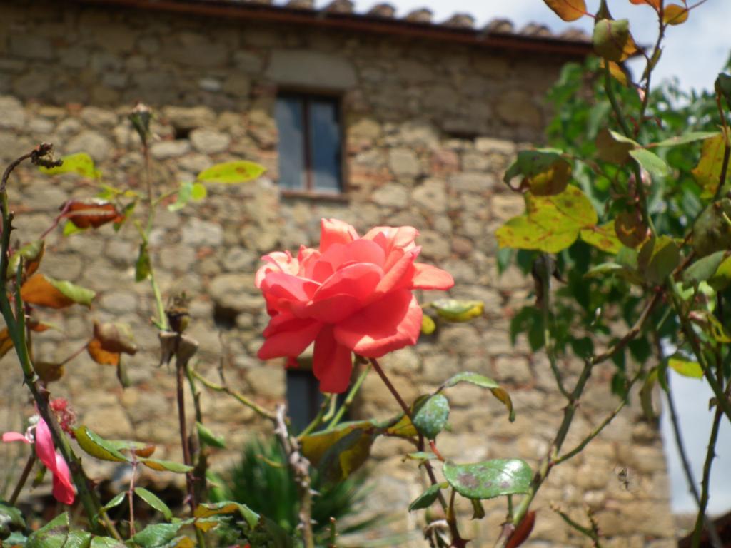 Agriturismo Riposati Monticchiello Εξωτερικό φωτογραφία